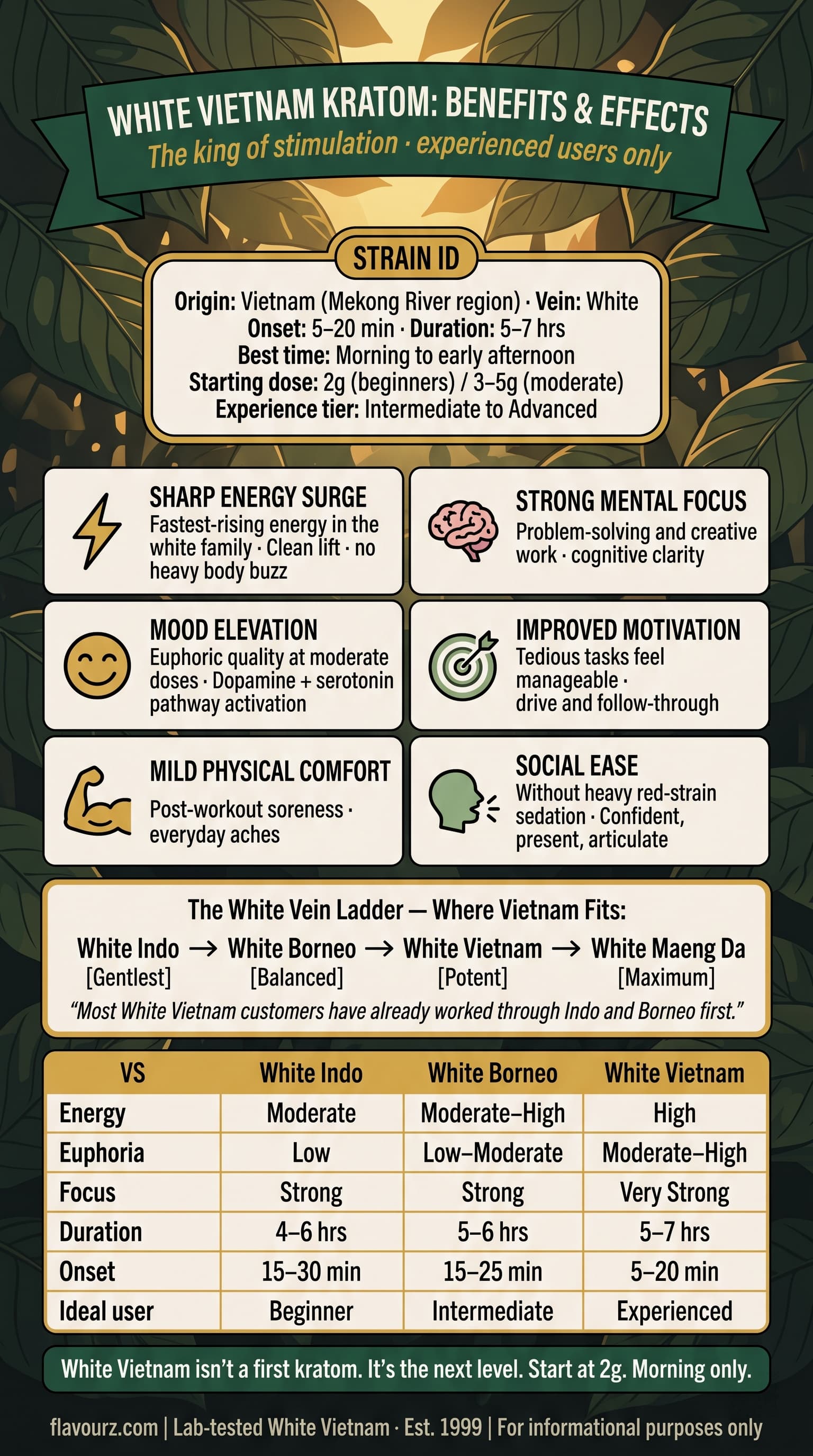 infographic for What Are the Benefits of White Vietnam Kratom